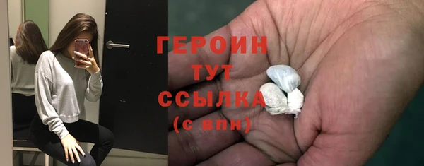 прущие грибы Тихвин