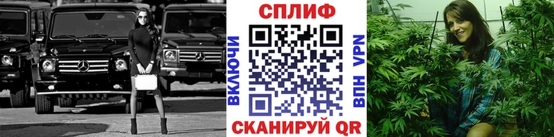 Бошки марихуана AK-47  купить закладку  Новомосковск 